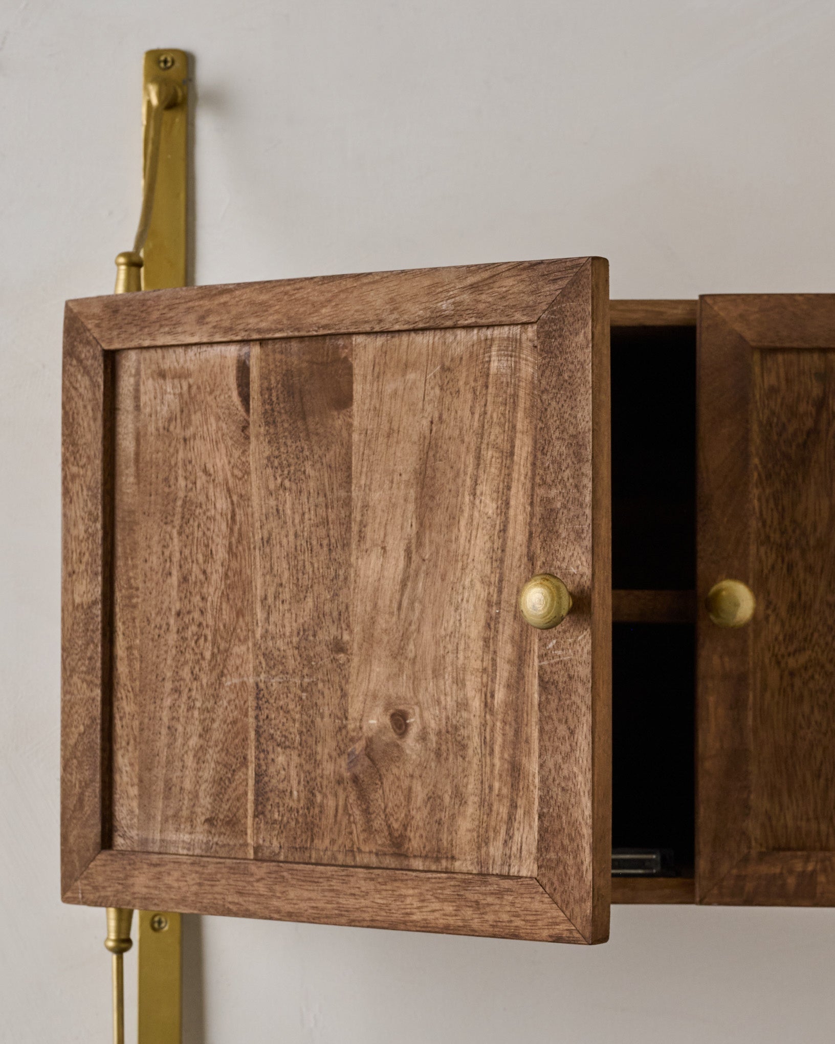 Parker Brass and Wood Cabinet